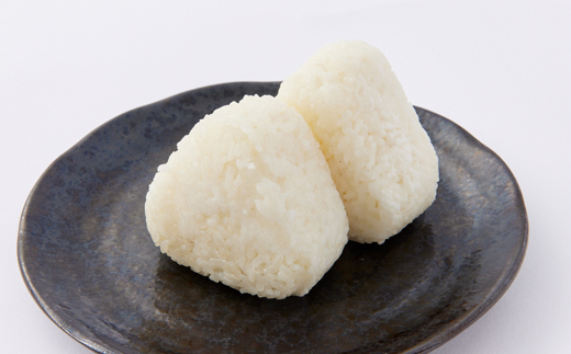 できたてのおいしさそのまま!冷凍おにぎり20個セット(2種類×各10個)【配送不可地域：離島】