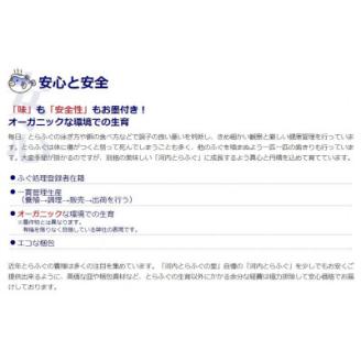 [河内とらふぐ]活き締めとらふぐ刺身用ブロック・皮の湯引き(冷蔵品・生食用)【配送不可エリア注意】【配送不可地域：離島・北海道・沖縄県・東北・関東・九州】