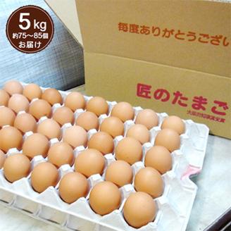 【5kg】匠のたまご(約75～85個)辰巳悦司養鶏場　G20大阪サミット朝食に使用された卵