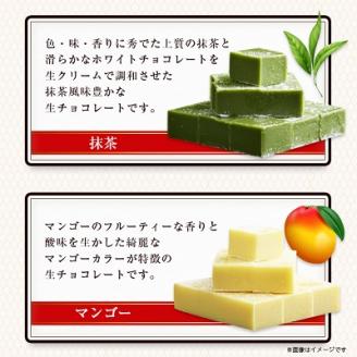【プロ仕様】生チョコレート詰め合わせ(スイート　ミルク　イチゴ　抹茶　マンゴー)　5種類×2袋【配送不可地域：離島】