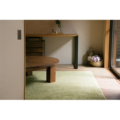 ナイロンラグ　colorシャギー　グリーン (長方形) 1本