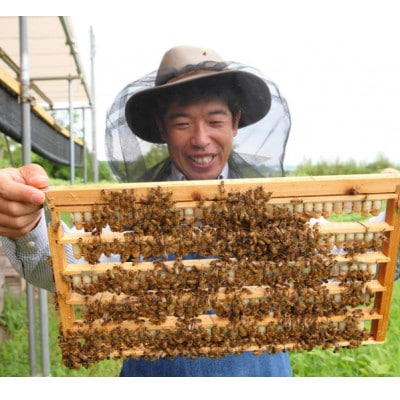 100g　国産はちみつ　生ローヤルゼリー　ローヤルゼリー専門養蜂場で採取　【配送不可地域：離島】