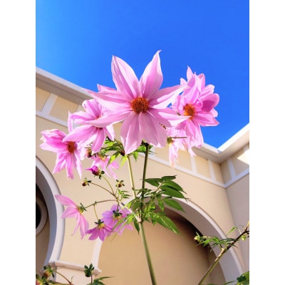 【PL病院】人間ドックBコース