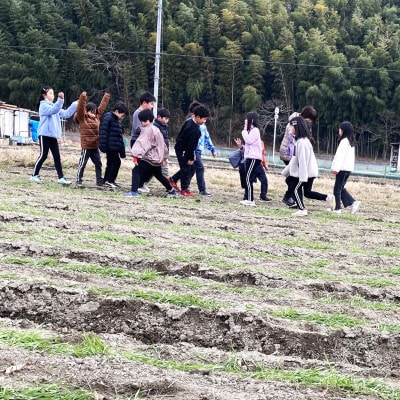 地元小学生が麦踏みして育った国産小麦!「全粒粉」1kgと全粒粉クッキー詰め合わせ