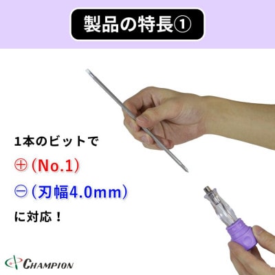 チャンピオンツール 差替ドライバー (+1/-4.0)×100 プラス・マイナス NO.DK96S【配送不可地域：沖縄県】