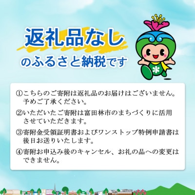 【返礼品なし】とんだばやしふるさと寄附金