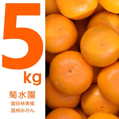 温州みかん 富田林市東條産5kg 【菊水園】 甘い美味しい みずみずしいと人気の柑橘です。