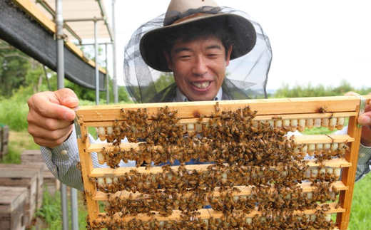 100g　国産はちみつ　生ローヤルゼリー　ローヤルゼリー専門養蜂場で採取　【配送不可地域：離島】
