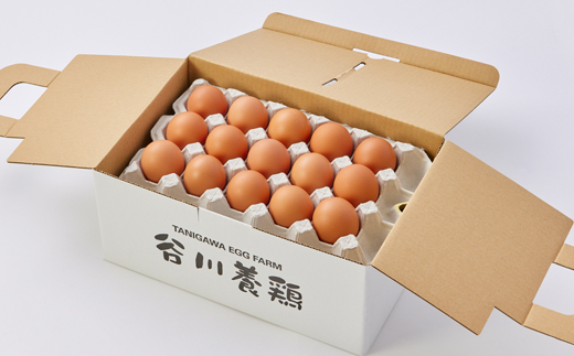 【生みたて濃厚】谷川養鶏の美人たまご　30ヶ入り(※サイズ指定できません)【配送不可地域：離島】