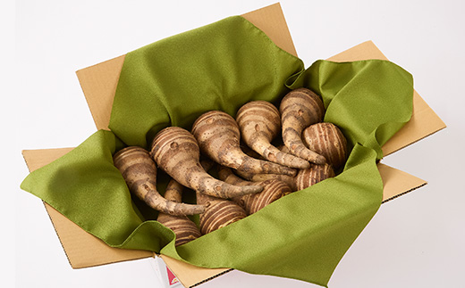 GIとんだばやしの海老芋　～令和の大嘗祭御奉納品～