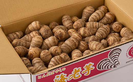 【GI認証取得】とんだばやしの海老芋の孫芋　1箱(5kg)