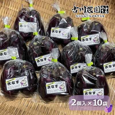 【産地直送】古川農園　「水なす」そのまま食べられる生野菜でお届け!2個入×10袋
