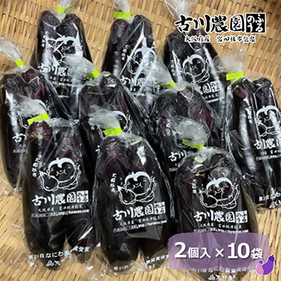 【産地直送】古川農園　「大阪なす」どんな料理にもよく合う万能ナス!2本入×10袋