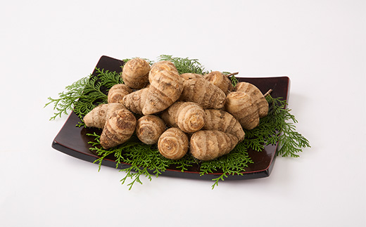 GI富田林の海老芋の孫芋 5kg×1箱