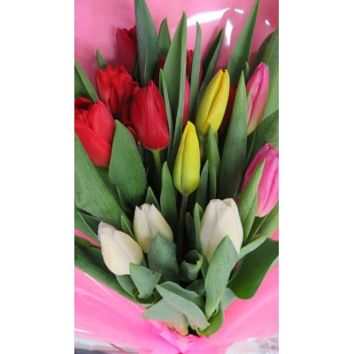 12月出荷　チューリップの花束　18本【配送不可地域：離島】
