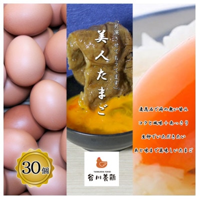 【生みたて濃厚】谷川養鶏の美人たまご　30ヶ入り(※サイズ指定できません)【配送不可地域：離島】