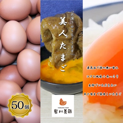 【生みたて濃厚】谷川養鶏の美人たまご　50ヶ入り(※サイズ指定できません)【配送不可地域：離島】