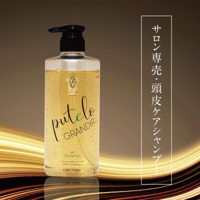 プテロ　ARシャンプー　グランディール　700ml