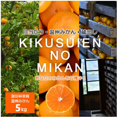 温州みかん 富田林市東條産5kg 【菊水園】 甘い美味しい みずみずしいと人気の柑橘です。