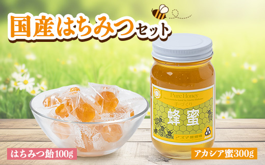 国産蜂蜜セット(アカシア蜜とはちみつキャンディ) はちみつと飴の詰合せ