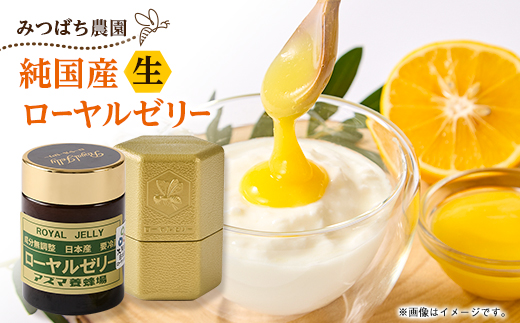 100g　国産はちみつ　生ローヤルゼリー　ローヤルゼリー専門養蜂場で採取　【配送不可地域：離島】