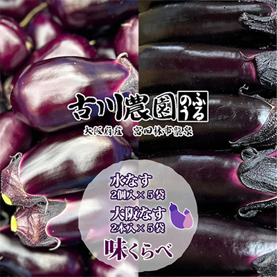 【産地直送】古川農園「大阪なす」と「水なす」の食べ比べセット
