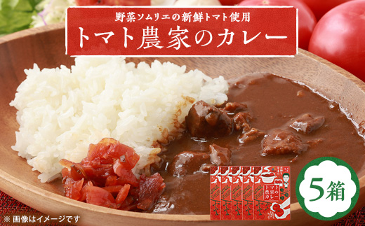 【大阪産】トマト農家のカレー5箱　簡単便利でとってもおいしいあると便利な一品/保存食にも便利