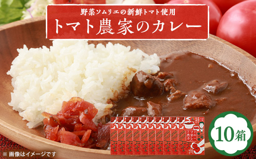【大阪産】トマト農家のカレー10箱　簡単便利でとってもおいしいあると便利な一品/保存食にも便利