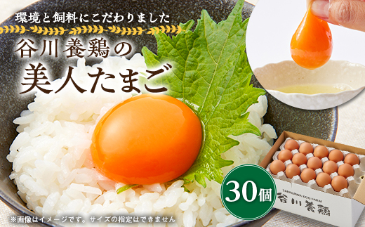 【生みたて濃厚】谷川養鶏の美人たまご　30ヶ入り(※サイズ指定できません)【配送不可地域：離島】