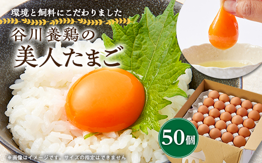 【生みたて濃厚】谷川養鶏の美人たまご　50ヶ入り(※サイズ指定できません)【配送不可地域：離島】