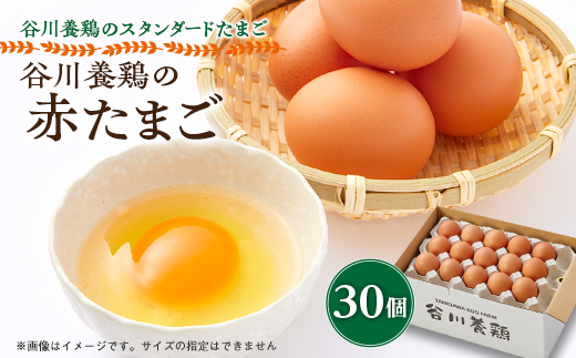 【生みたて濃厚】谷川養鶏の赤たまご　30ヶ入り(※サイズ指定できません)【配送不可地域：離島】