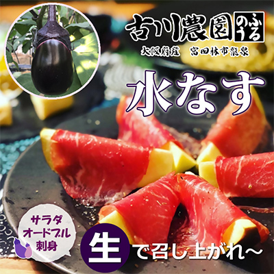 【産地直送】古川農園　「水なす」そのまま食べられる生野菜でお届け!2個入×10袋