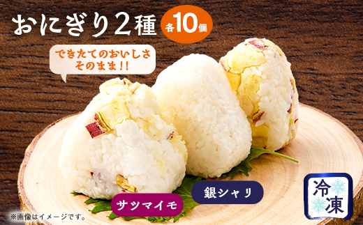 できたてのおいしさそのまま!冷凍おにぎり20個セット(2種類×各10個)【配送不可地域：離島】