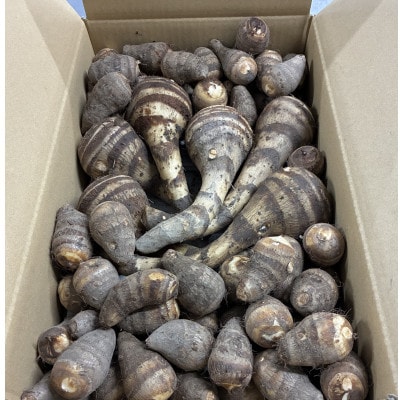 【GI認証取得】とんだばやしの海老芋　1箱(海老芋2kg・孫芋3kg)