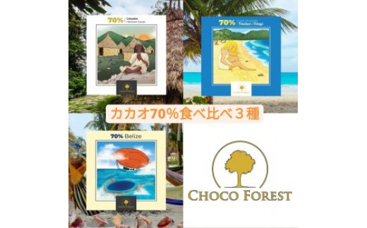 [カカオ70% ビーントゥバー チョコレート3種] 大人気のシングルオリジン食べ比べ｜スイーツ デザート 菓子 お菓子 洋菓子 紅茶 贈答用 贈り物 ギフト プチギフト プレゼント 手土産 おやつ 小分け 包装 パック [1181]