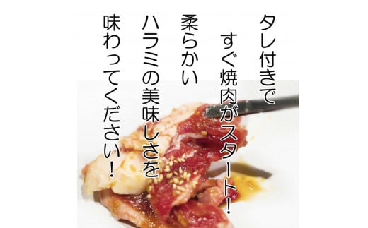 [お肉屋さんオリジナル] 自家製ハラミダレ 800g (200g×4パック)｜焼肉 焼き肉 味付け肉 お肉 肉 牛肉 惣菜 冷凍 簡単調理 おかず おつまみ 贈答用 贈り物 ギフト 個包装 小分け 包装 パック [0441]