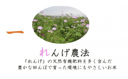 しあわせのれんげっ娘 (精米) 10kg×2｜米 お米 ごはん ご飯 [1198]