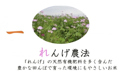 しあわせのれんげっ娘 5kg (精米)｜米 お米 ごはん ご飯 [1201]