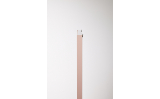 リフェクスミラー姿見 バリエ スタンダード (フィルムミラー) RMV-1-BPK (幅35cm×高さ125cm×厚み2cm)ベビーピンク｜軽量 割れない 映りがキレイ 鏡 壁掛けミラー 壁付け インテリア [0714]