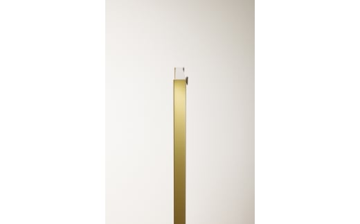 リフェクスミラー姿見 バリエ ダブル (フィルムミラー) RMV-2-GL (幅60cm×高さ100cm×厚み2cm)グリッターゴールド｜軽量 割れない 映りがキレイ 鏡 壁掛けミラー 壁付け インテリア [0716]