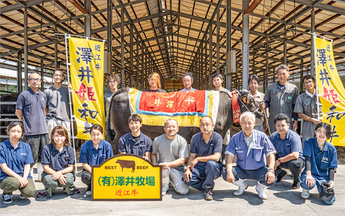 近江牛A4A5ランク スネ肉 500g ハラルビーフ｜近江牛 ビーフ A4A5 ランク すね肉 [1170]