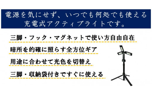 LEDライト充電式アクティブライト ズミー (ZMI)｜アウトドア カーメンテナンス 軽作業 キャンプ ソロキャンプ 屋外作業 充電式 防災 災害 お仕事 ライト 全方位 [0820]