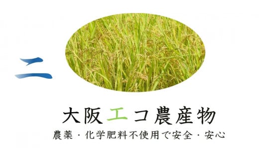 しあわせのれんげっ娘パックごはん 10パック×2｜パックごはん ごはん ご飯 [1197]