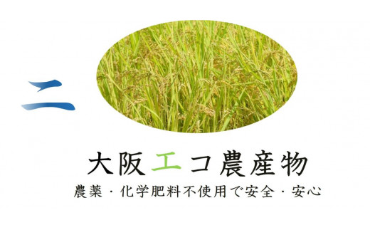 しあわせのれんげっ娘 (精米) 10kg×2｜米 お米 ごはん ご飯 [1198]