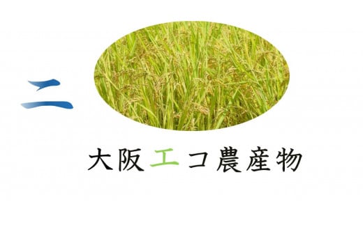 JA北河内ペットボトル米 バラエティセット｜無洗米 米 お米 ごはん ご飯 [1199]