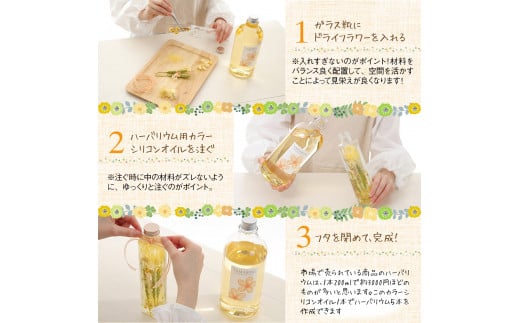 ハーバリウム用カラーシリコンオイル2本＋スターターキット [0544]