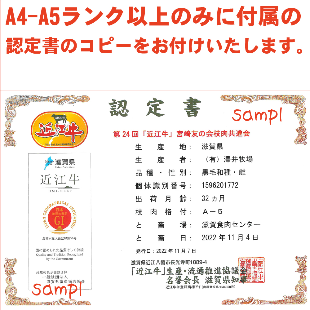 近江牛A4A5ランク ウデ肉スライス500g ハラルビーフ｜近江牛 ビーフ A4A5ランク ウデ肉スライス [1171]