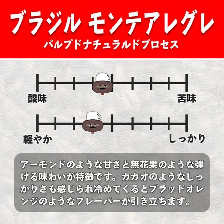 YouTubeで話題！ スペシャルティコーヒー豆 3種セット (200g×3種)《粉 (中粗挽き)》｜珈琲 ギフト 選べる 飲み比べ 香り 苦味 コク 酸味 オフィス キャンプ 大阪府 寝屋川市 [1211]