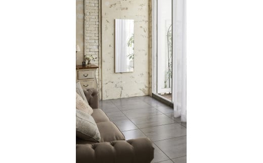 リフェクスミラー姿見 (フィルムミラー) RM-2-SG (幅45cm×高さ120cm×厚み2cm)｜軽量 割れない 鏡 全身鏡 リフェクスミラー 壁掛けミラー 壁付け 吊り金具 三角金具 インテリア 家具 防災 着付け 着替え ダンス ファッション 日本製 [0232]