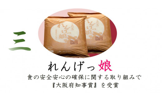 しあわせのれんげっ娘 (精米) 10kg×2｜米 お米 ごはん ご飯 [1198]
